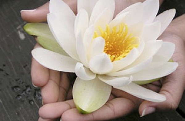 Flower In Hands - services image